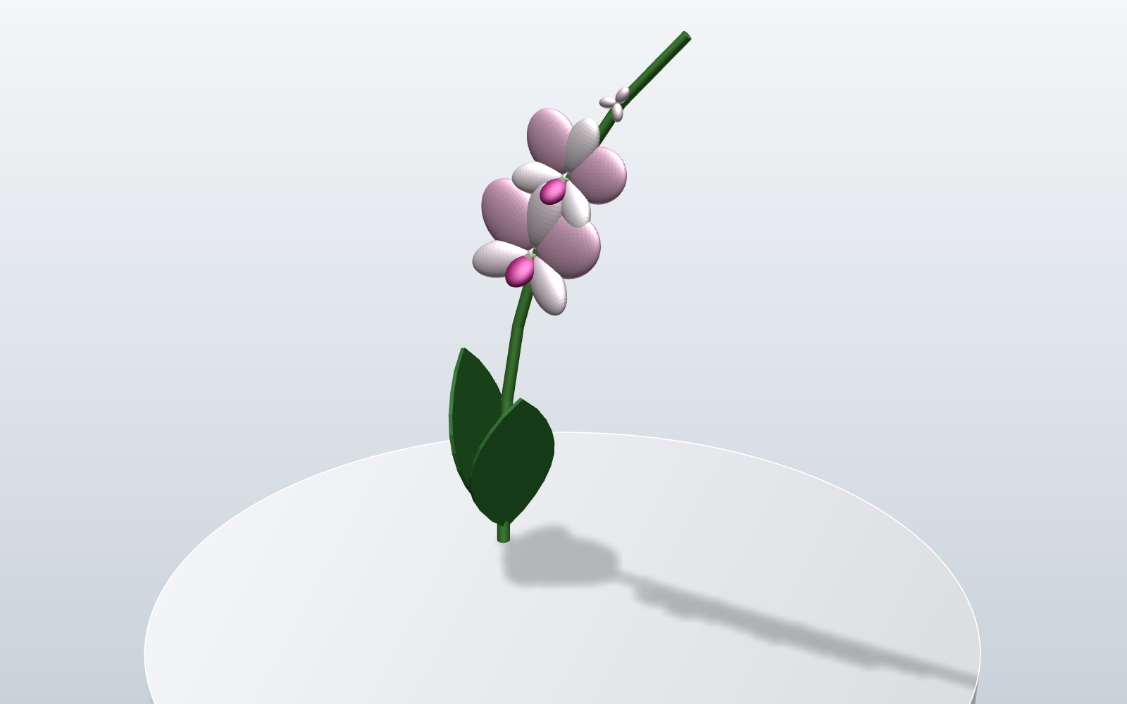 Procedural orchid
